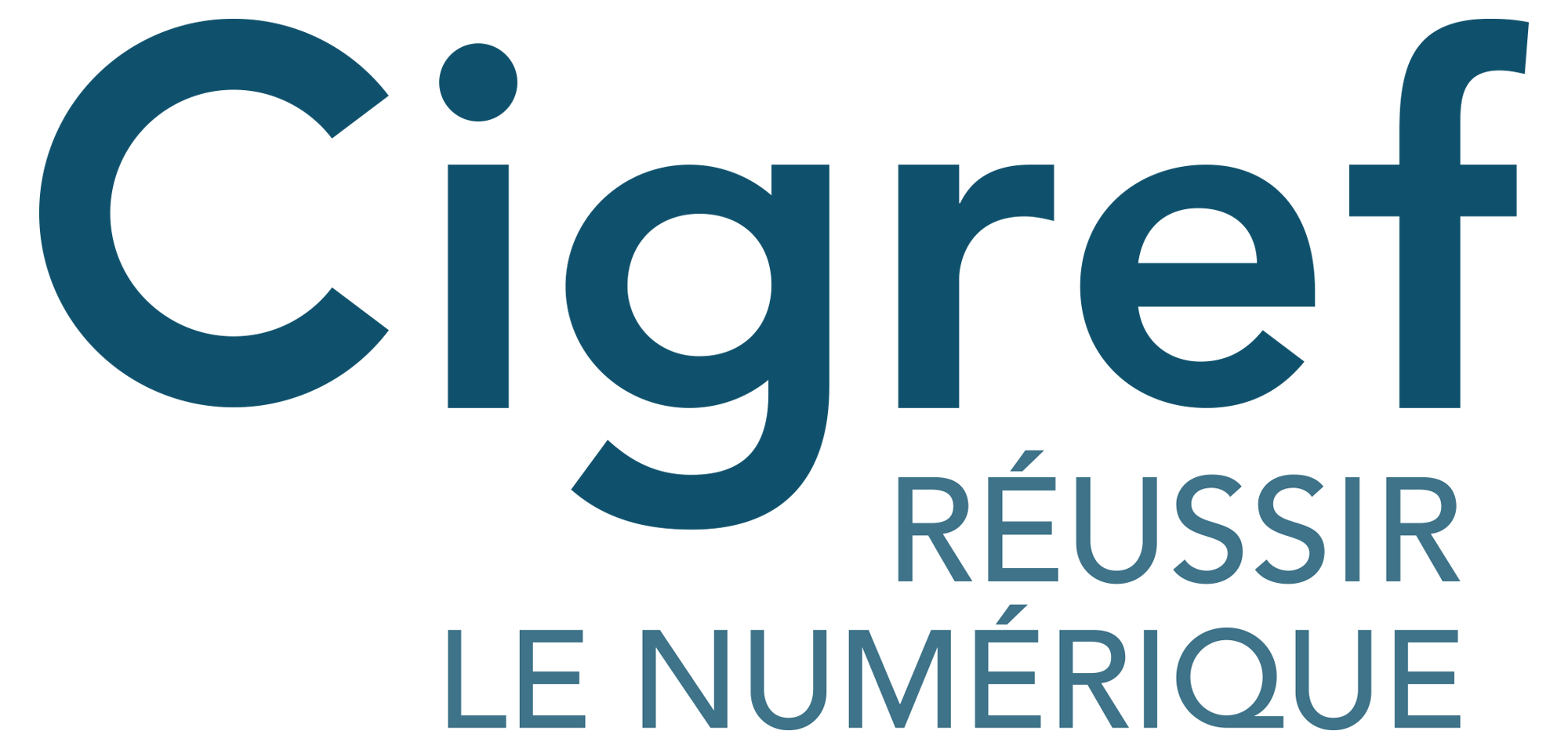 CIGREF Réussir le numérique